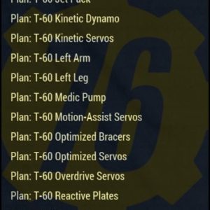Screenshot of a Fallout 76 item for PC & Steam players, showing the stats.