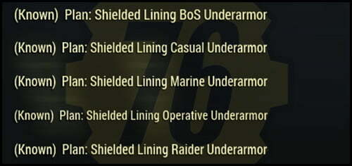 Screenshot of a Fallout 76 item for PC & Steam players, showing the stats.