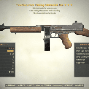 Screenshot of a Fallout 76 item for PC & Steam players, showing the stats.