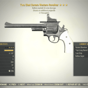 Screenshot of a Fallout 76 item for PC & Steam players, showing the stats.