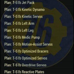 Screenshot of a Fallout 76 item for PC & Steam players, showing the stats.