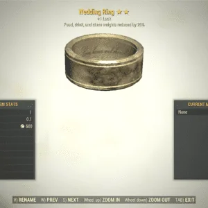 Screenshot of a Fallout 76 item for PC & Steam players, showing the stats.