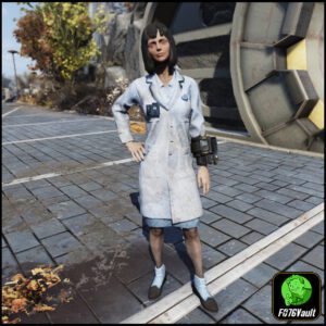 Screenshot of a Fallout 76 item for PC & Steam players, showing the stats.