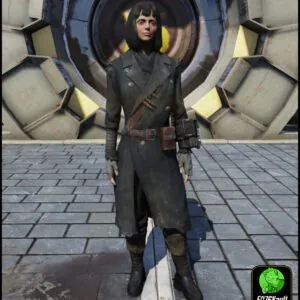 Screenshot of a Fallout 76 item for PC & Steam players, showing the stats.