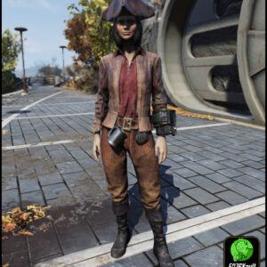 Screenshot of a Fallout 76 item for PC & Steam players, showing the stats.