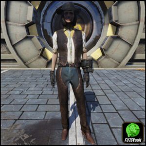 Screenshot of a Fallout 76 item for PC & Steam players, showing the stats.