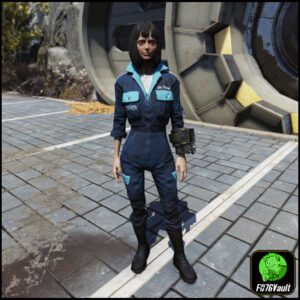 Screenshot of a Fallout 76 item for PC & Steam players, showing the stats.