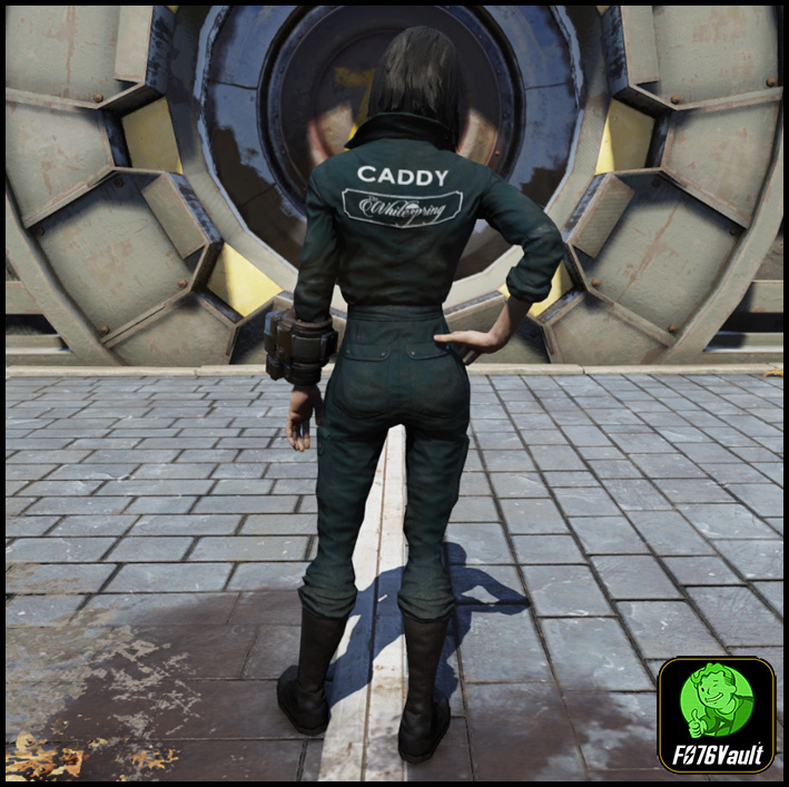 Screenshot of a Fallout 76 item for PC & Steam players, showing the stats.