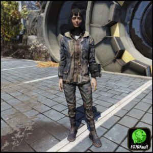 Screenshot of a Fallout 76 item for PC & Steam players, showing the stats.