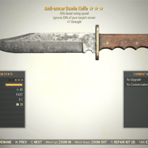Screenshot of a Fallout 76 item for PC & Steam players, showing the stats.