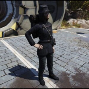 Screenshot of a Fallout 76 item for PC & Steam players, showing the stats.