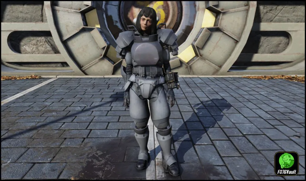 Screenshot of a Fallout 76 Secret Service Armor Set for PC & Steam players, showing the stats.