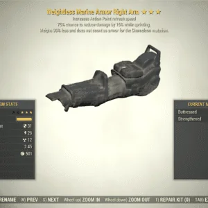 Screenshot of a Fallout 76 item for PC & Steam players, showing the stats.