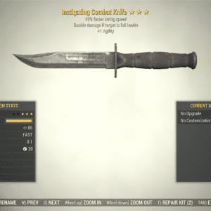 Screenshot of a Fallout 76 item for PC & Steam players, showing the stats.