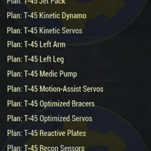Screenshot of a Fallout 76 item for PC & Steam players, showing the stats.
