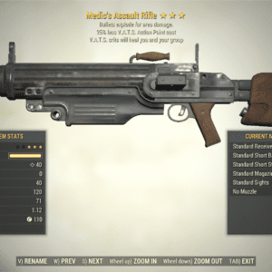 Screenshot of a Fallout 76 item for PC & Steam players, showing the stats.