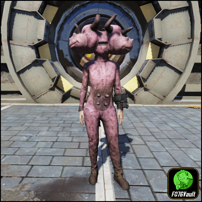 Screenshot of a Fallout 76 item for PC & Steam players, showing the stats.