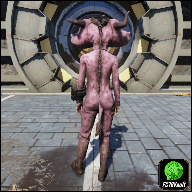 Screenshot of a Fallout 76 item for PC & Steam players, showing the stats.