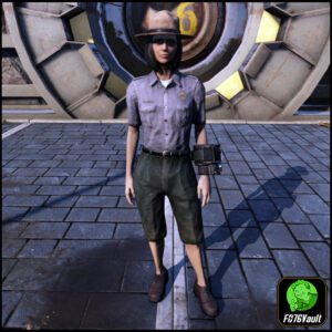 Screenshot of a Fallout 76 item for PC & Steam players, showing the stats.