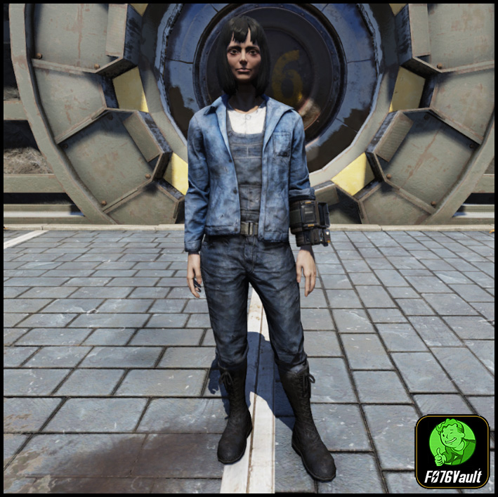 Screenshot of a Fallout 76 item for PC & Steam players, showing the stats.