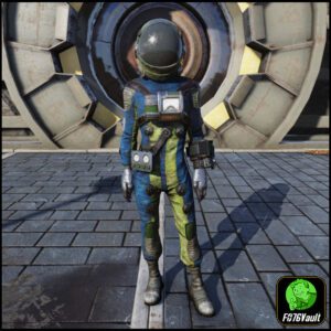 Screenshot of a Fallout 76 item for PC & Steam players, showing the stats.