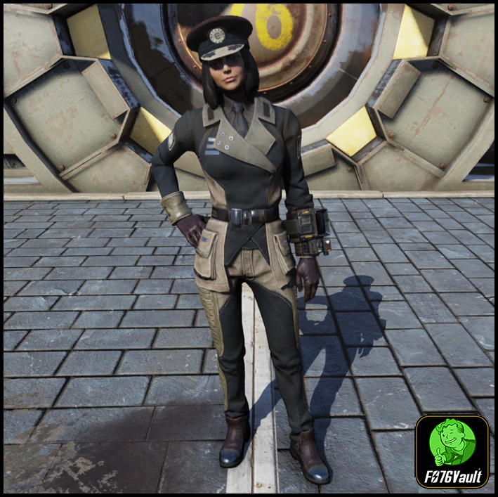 Screenshot of a Fallout 76 item for PC & Steam players, showing the stats.