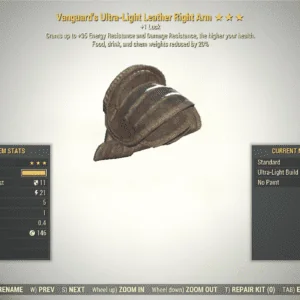 Screenshot of a Fallout 76 item for PC & Steam players, showing the stats.