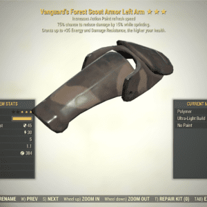 Screenshot of a Fallout 76 item for PC & Steam players, showing the stats.