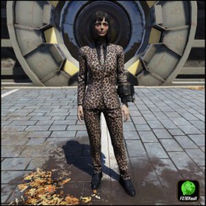 Screenshot of a Fallout 76 item for PC & Steam players, showing the stats.