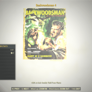 Screenshot of a Fallout 76 item for PC & Steam players, showing the stats.