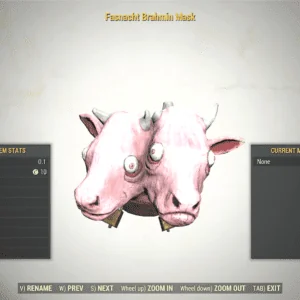 Screenshot of a Fallout 76 item for PC & Steam players, showing the stats.