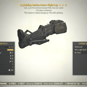 Screenshot of a Fallout 76 item for PC & Steam players, showing the stats.