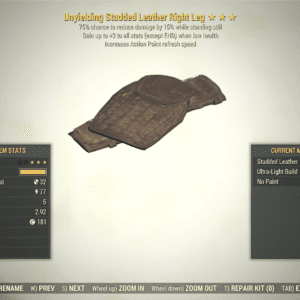 Screenshot of a Fallout 76 item for PC & Steam players, showing the stats.