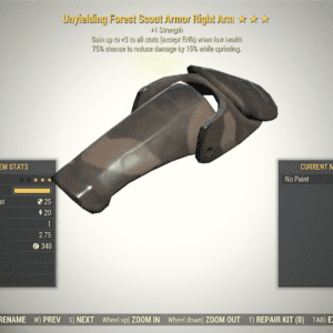 Screenshot of a Fallout 76 item for PC & Steam players, showing the stats.