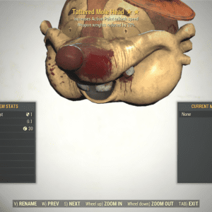Screenshot of a Fallout 76 item for PC & Steam players, showing the stats.