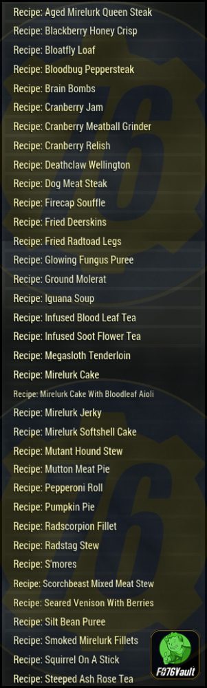 Screenshot of a Fallout 76 item for PC & Steam players, showing the stats.
