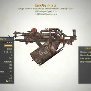 Screenshot of a Bloodied WS HOLY FIRE + Faster Reload, showing the stats.