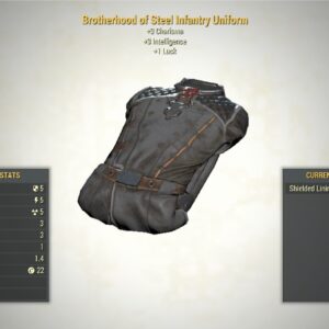 Fallout 76 PC Bortherhood of Steel Infantry Uniform Dec Room Outfit